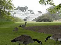Princess of Wales Conservatory and geese /Nikon D200