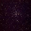 M41の写真