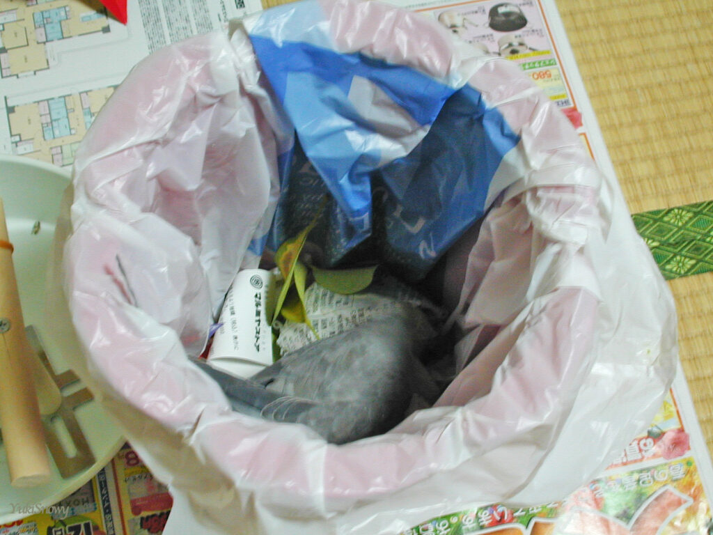 (2004-03-24 22:15:13, Nikon COOLPIX800)