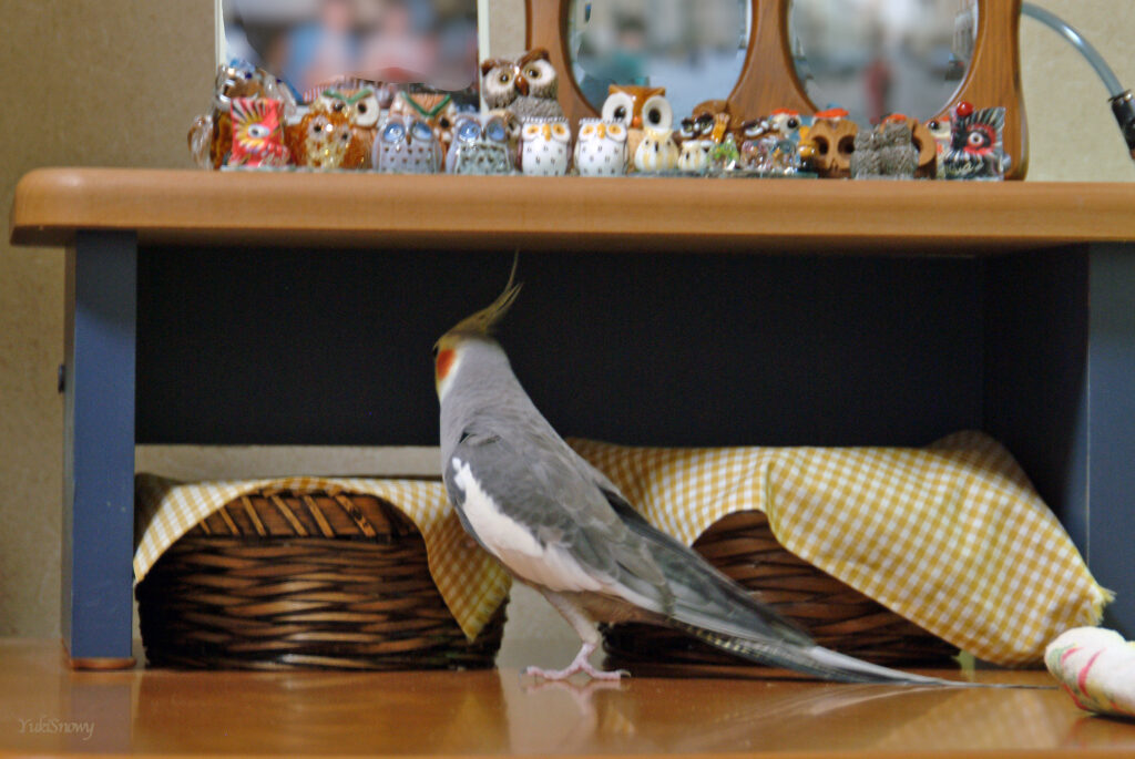 (2004-04-09 20:46:33, Fujifilm FinePix S2 Pro)