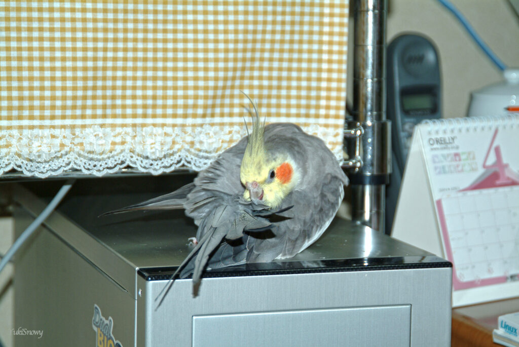 (2004-04-14 20:34:59, Fujifilm FinePix S2 Pro)