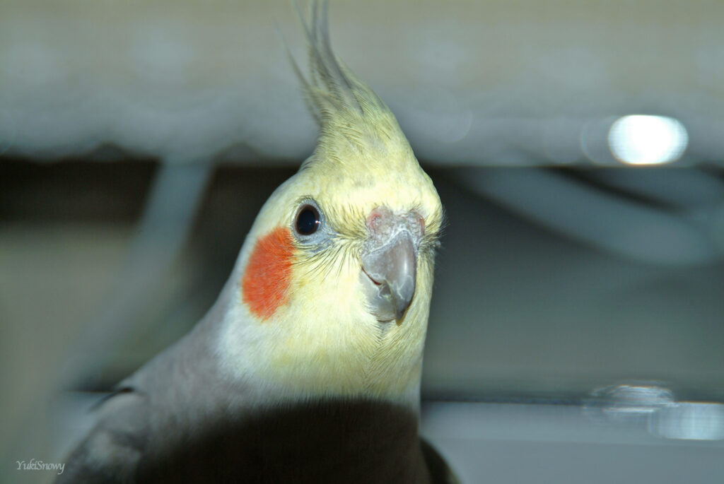 (2004-05-05 20:17:46, Fujifilm FinePix S2 Pro)