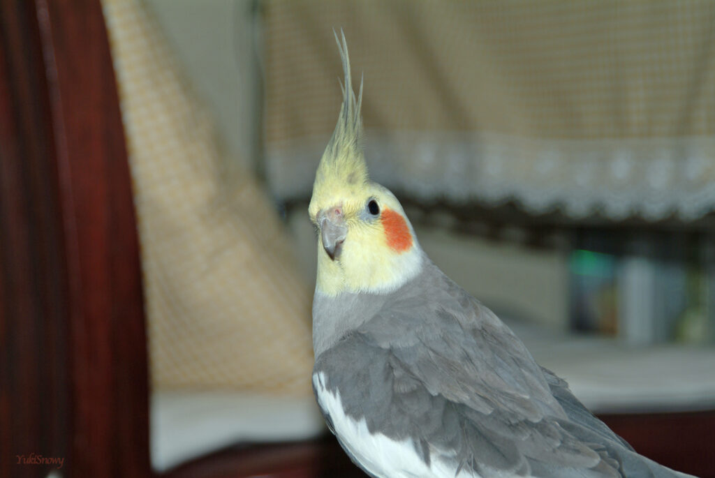 (2004-05-18 20:59:56, Fujifilm FinePix S2 Pro)