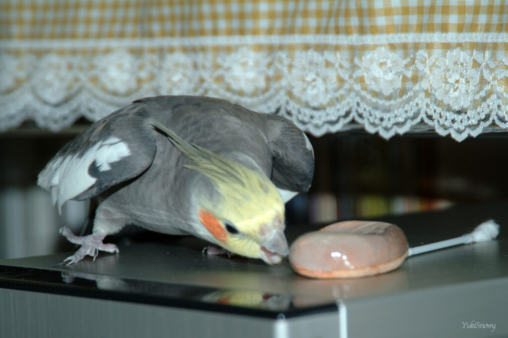 (2004-05-18 21:02:11, Fujifilm FinePix S2 Pro)