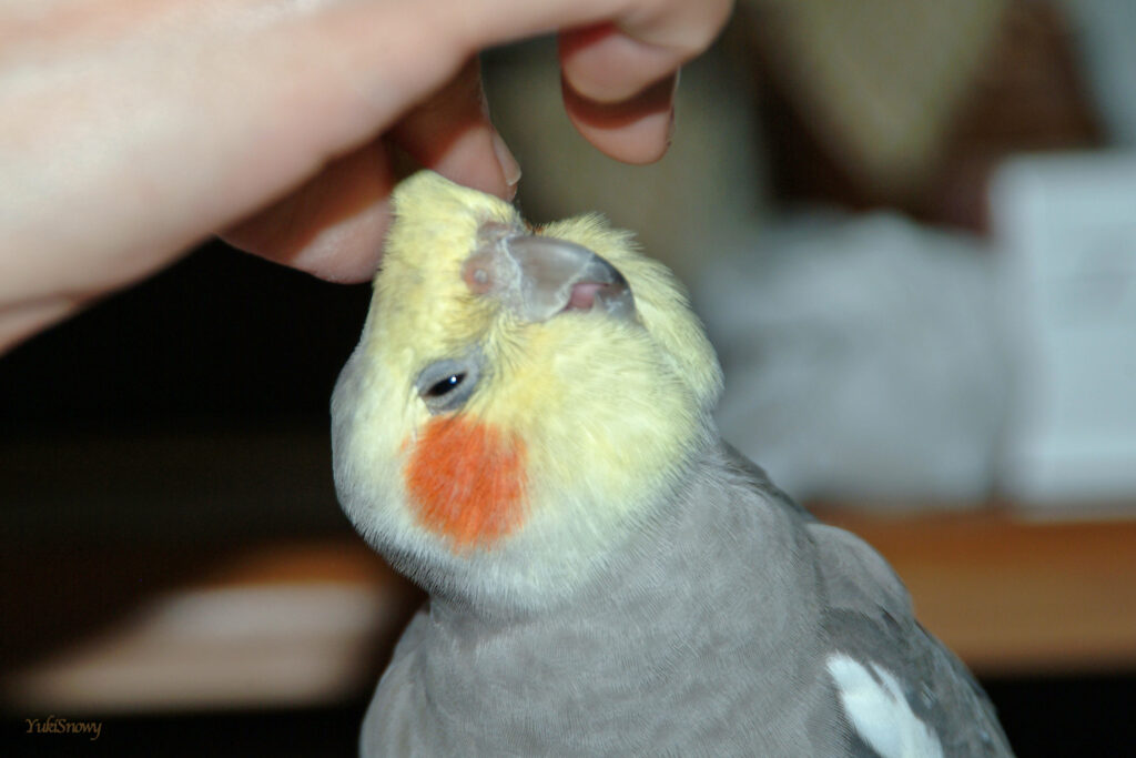 (2004-05-18 21:31:30, Fujifilm FinePix S2 Pro)