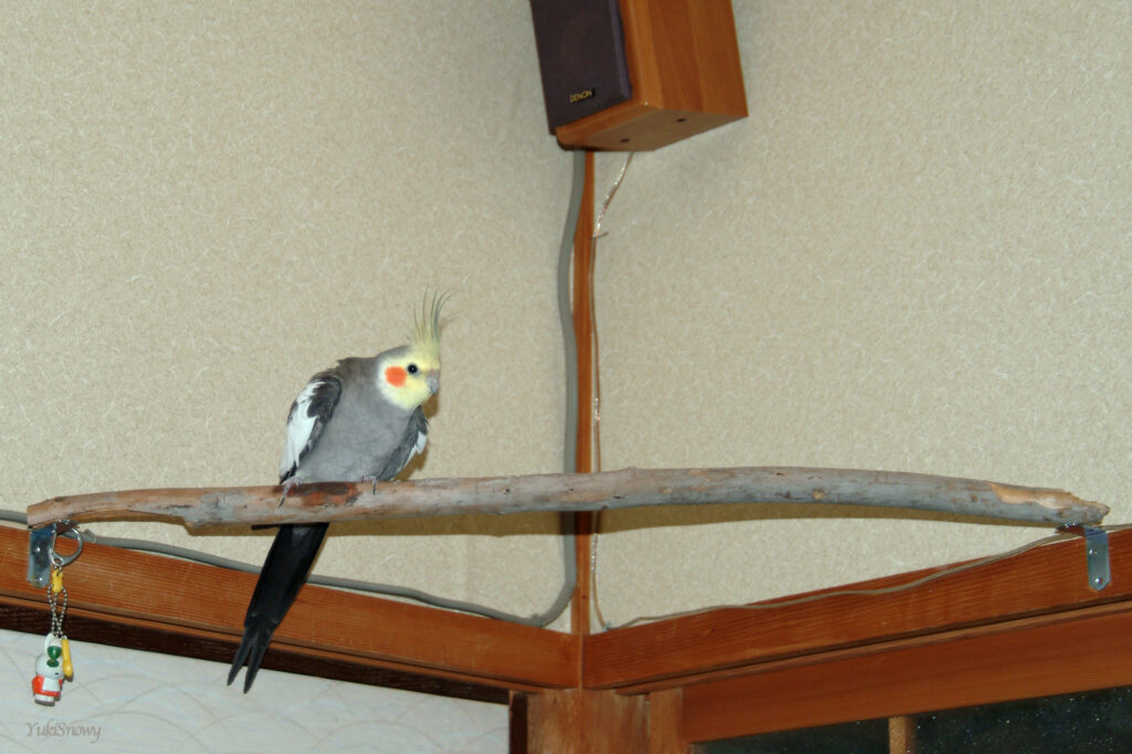 (2004-05-30 20:38:53, Fujifilm FinePix S2 Pro)