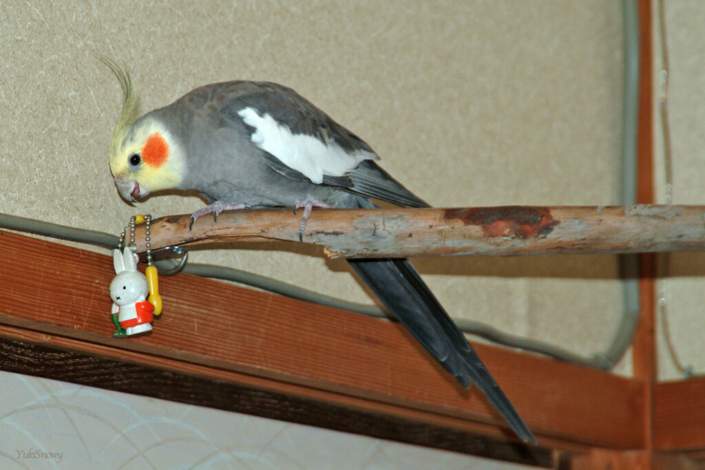 (2004-05-30 21:21:45, Fujifilm FinePix S2 Pro)