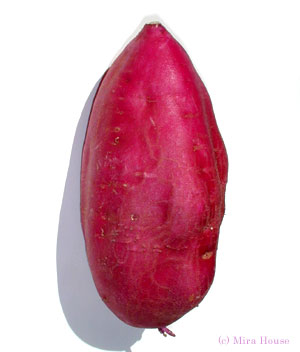 サツマイモの画像