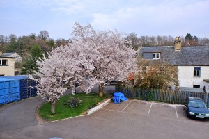 Glenmoriston Townhouse Hotel