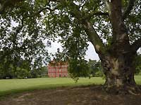 A heritage tree and Kew Palace /D200