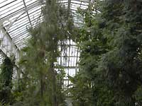 Temperate House /D200