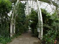 Temperate House /S2 Pro