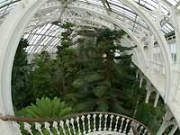 Inside of Temperate House /S2 Pro