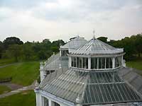 from the window of Temperate House Lumix FX33