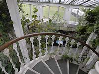 inside of Temperate House /D200