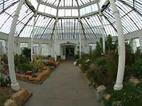 inside of Temperate House /S2 Pro