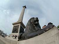 Nelson's Column and a lion statue /S2 Pro