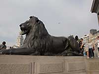 A lion statue of Trafalgar Square /D200