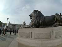 A lion statue at Trafalgar Square /S2 Pro