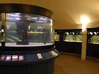 Aquarium in Palm House /Nikon D200