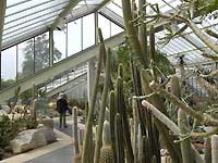 Princess of Wales Conservatory /D200