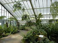 Inside of Princess of Wales Conservatory /D200