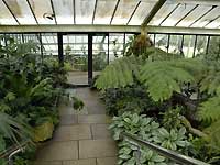 Inside of Princess of Wales Conservatory /D200
