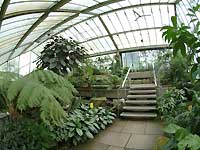 Inside of Princess of Wales Conservatory /S2 Pro
