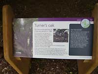 Turner's oak /Lumix FX33