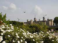 Tower of London from Trinity Square /D200